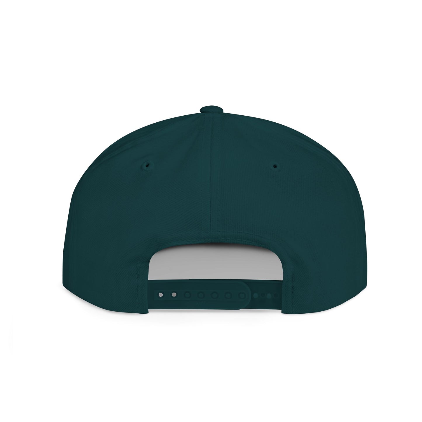 Snapback Hat Don Bucket Irish in a Hat